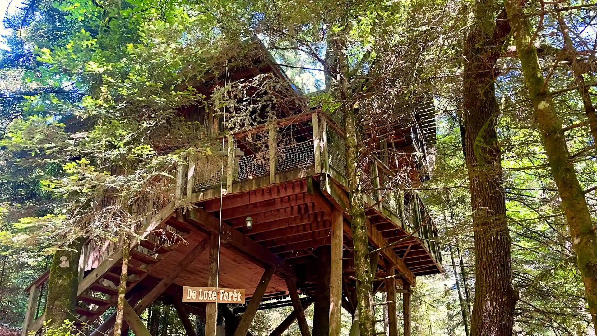 La Forêt – Cabane Deluxe | Cabanes Nids des Vosges