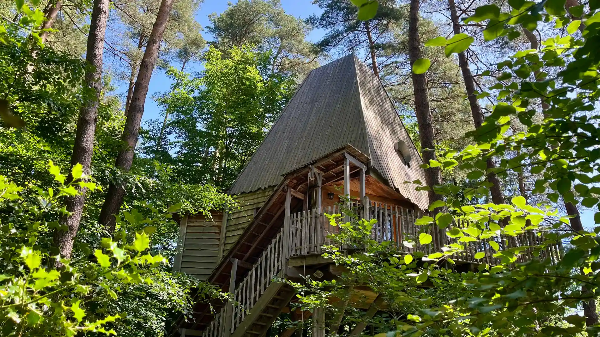 La Bien-Hêtre – Cabane Deluxe | Cabanes Nids des Vosges