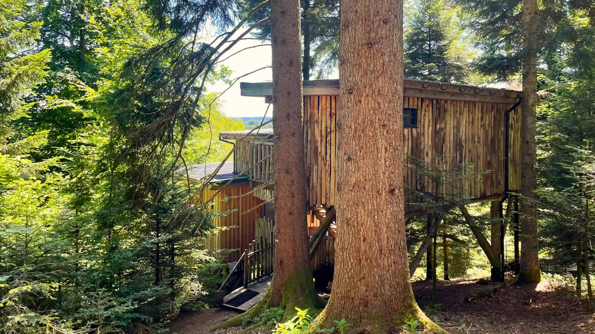 Les 2 Sapins – Cabane Deluxe | Cabanes Nids des Vosges