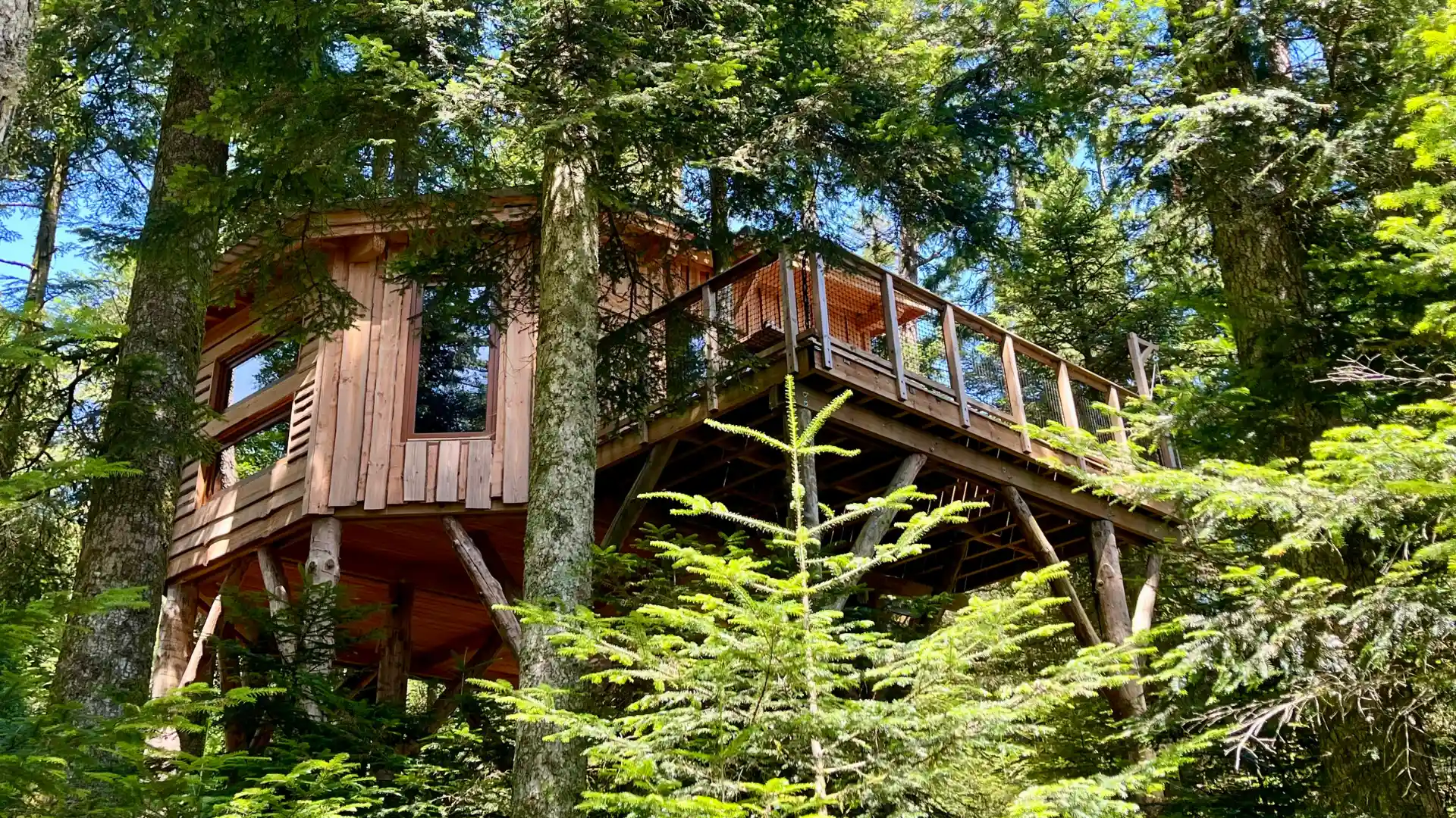 Gemütliche Hütte L'Échappée Belle, abgeschieden im Vogesenwald – Cabanes Nids des Vosges