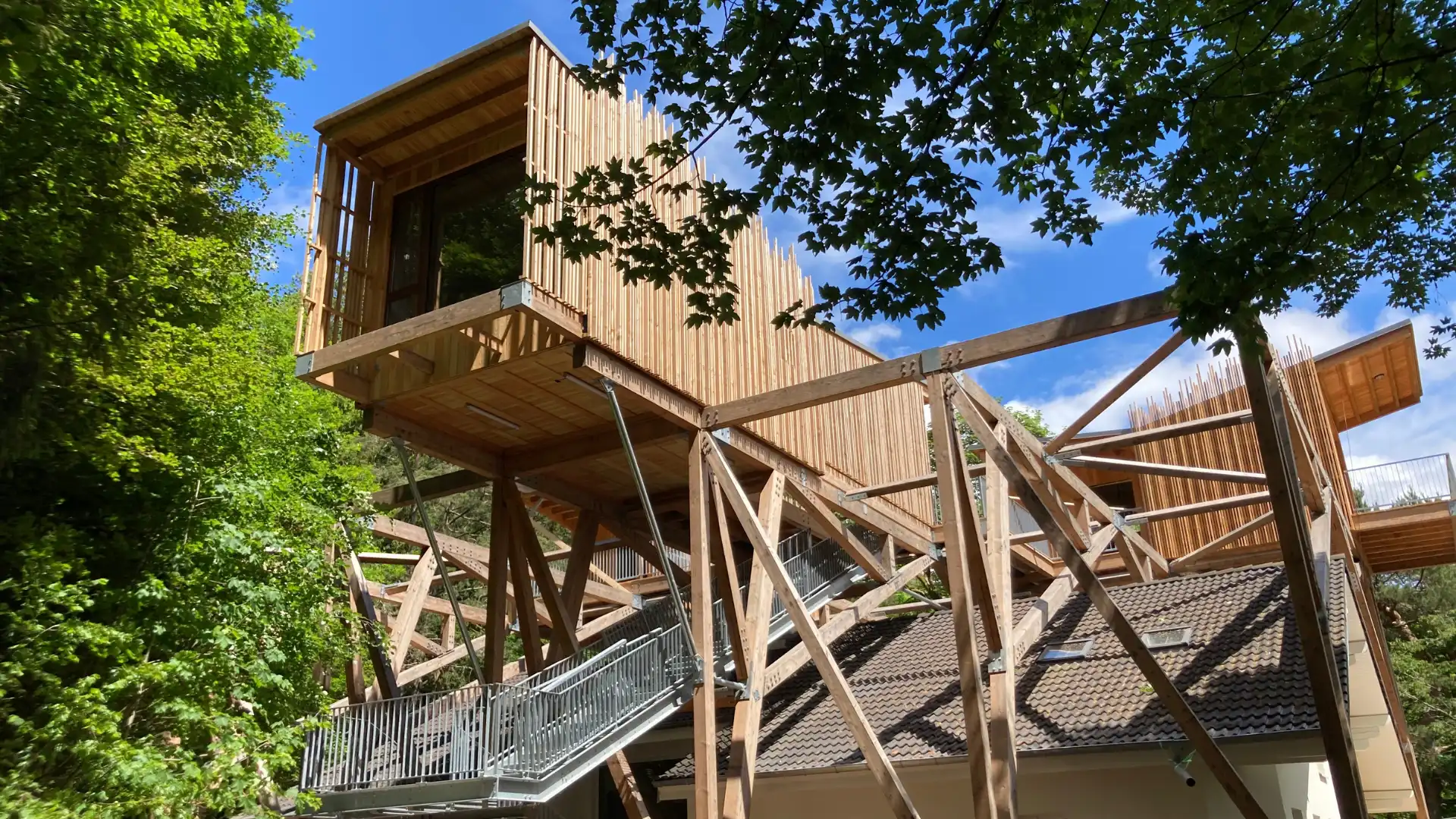 Forêt 1 & Spa – Cabane Deluxe | Cabanes Nids des Vosges
