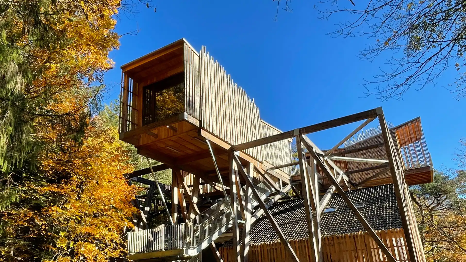 Forêt 2 & Spa – Cabane Deluxe | Cabanes Nids des Vosges