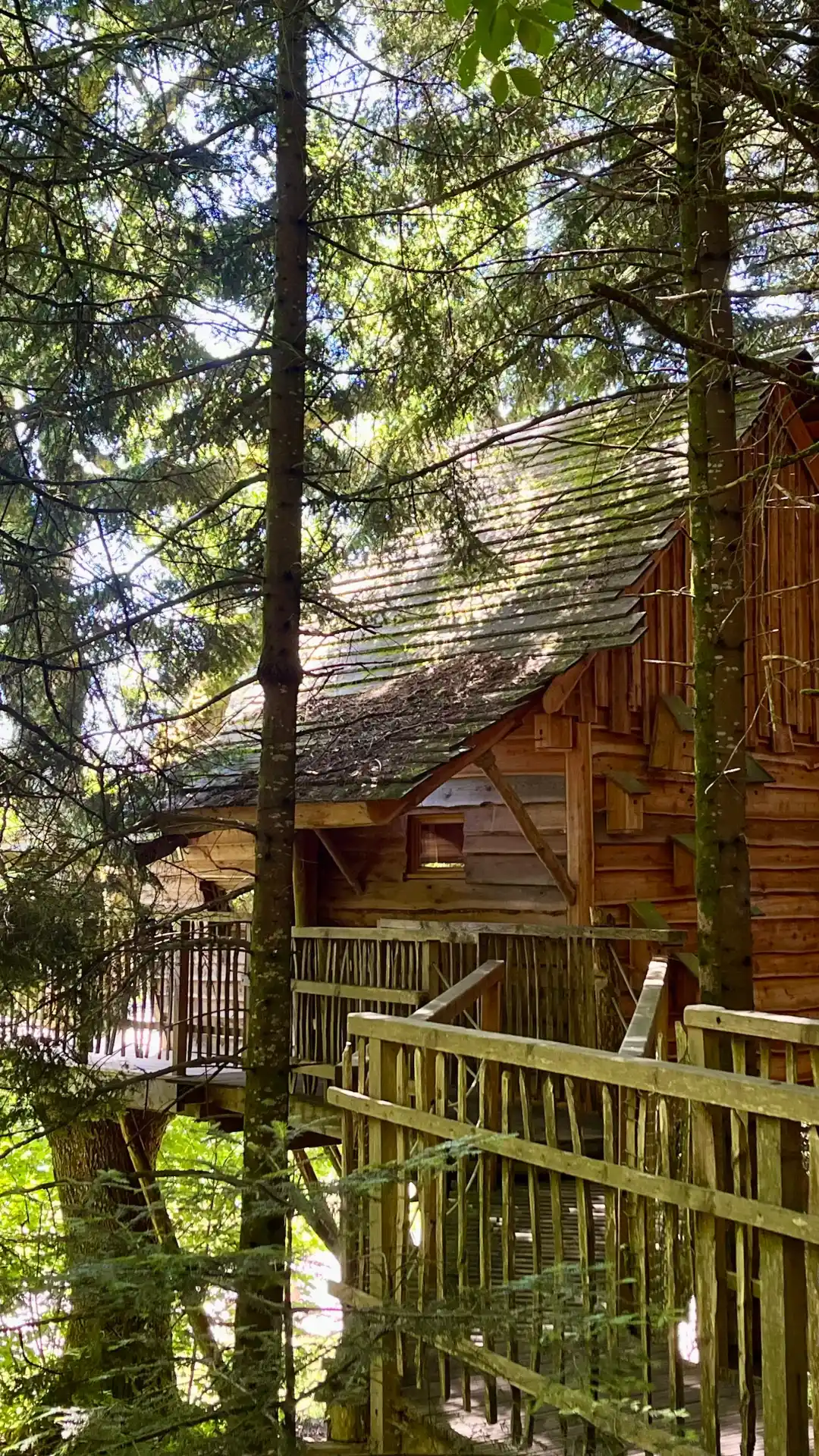Le Repère – Cabane Cosy | Cabanes Nids des Vosges