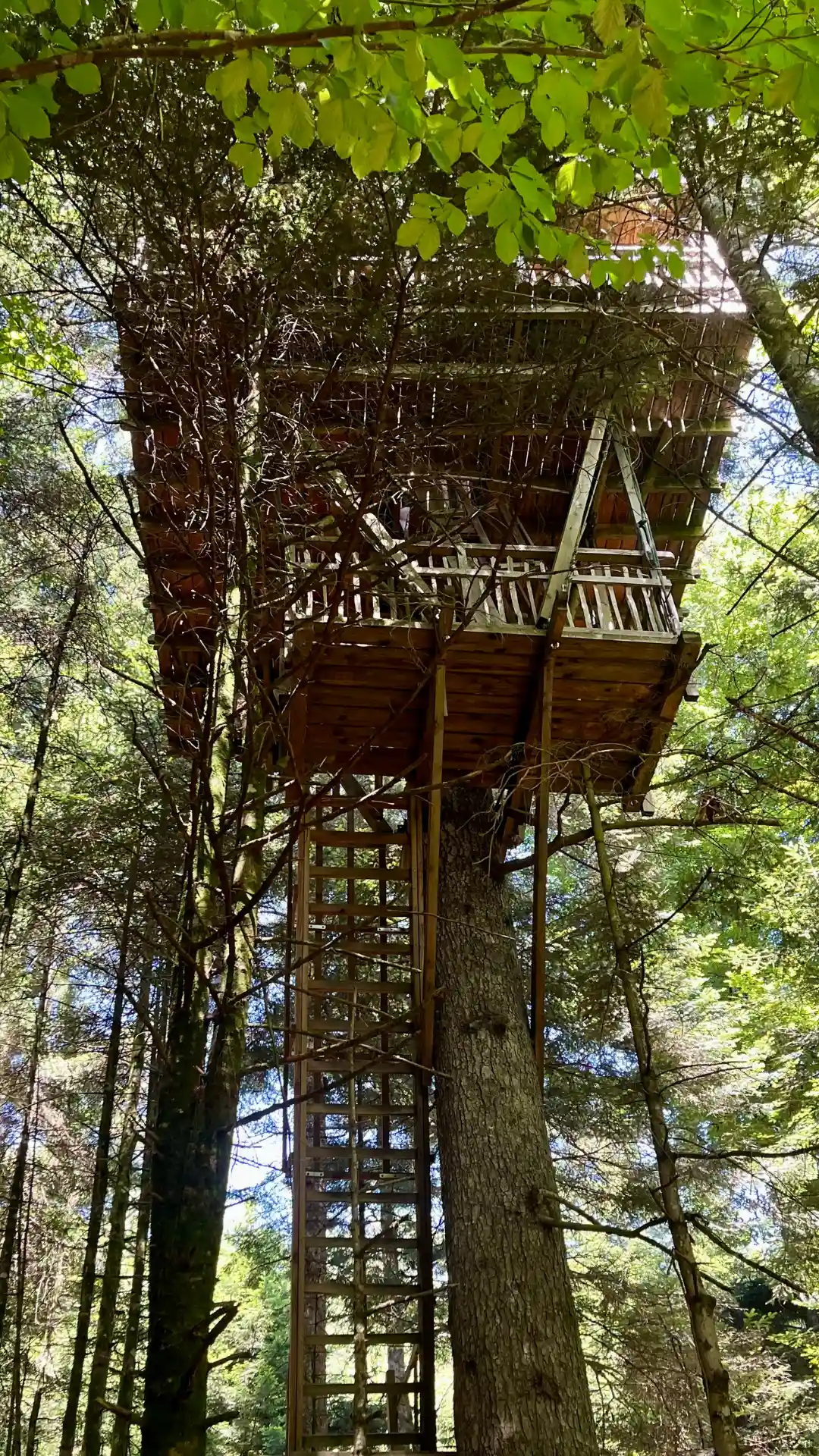 L'Observatoire – Cabane Cosy | Cabanes Nids des Vosges