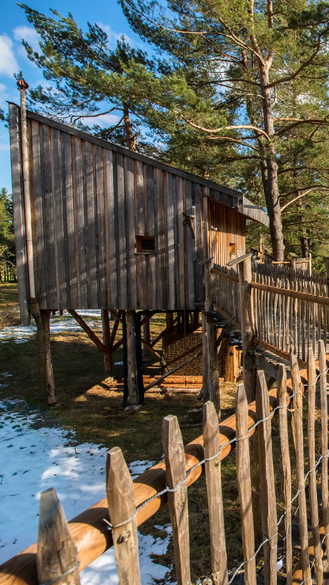 Natursteg aus Holz, der zur Hütte L'Avancée Nature im Wald der Vogesen führt