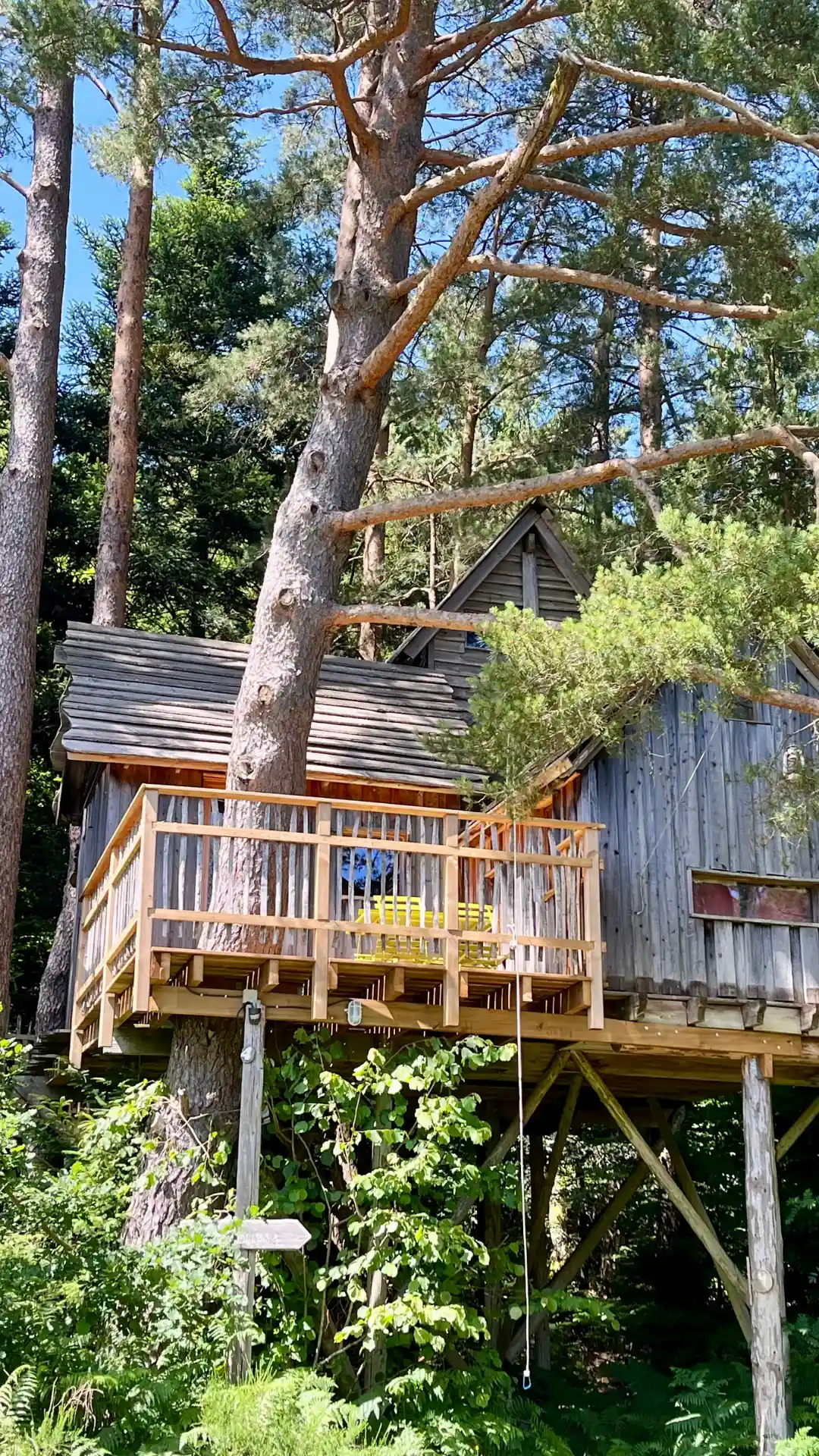 Cabane perchée dans les arbres près de Gerardmer