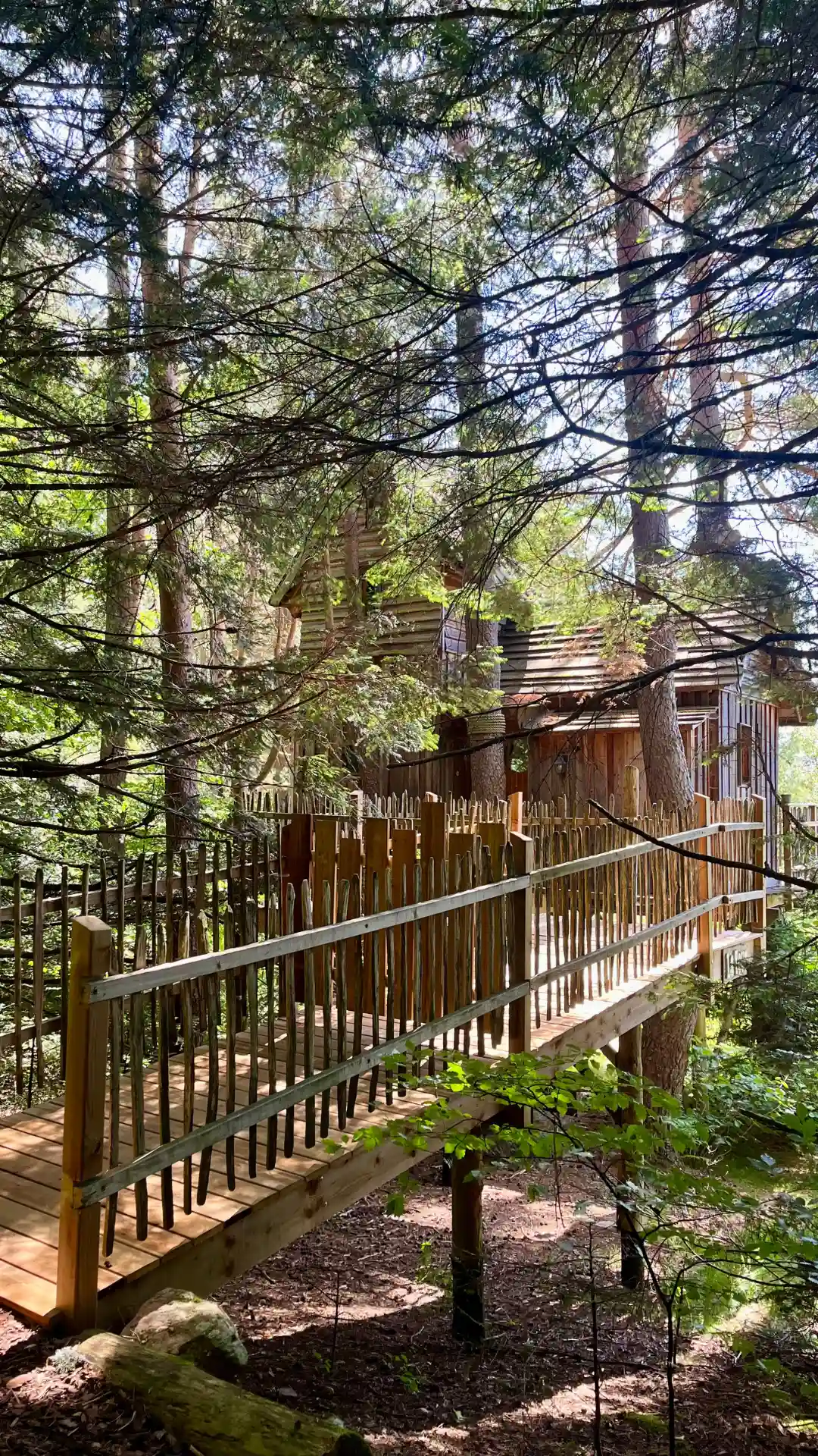 La Tour – Cabane Cosy | Cabanes Nids des Vosges
