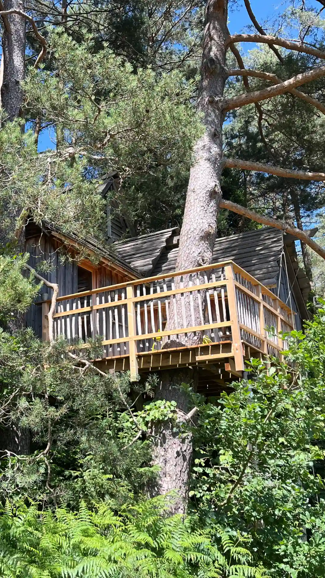 La Double – Cabane Cosy | Cabanes Nids des Vosges