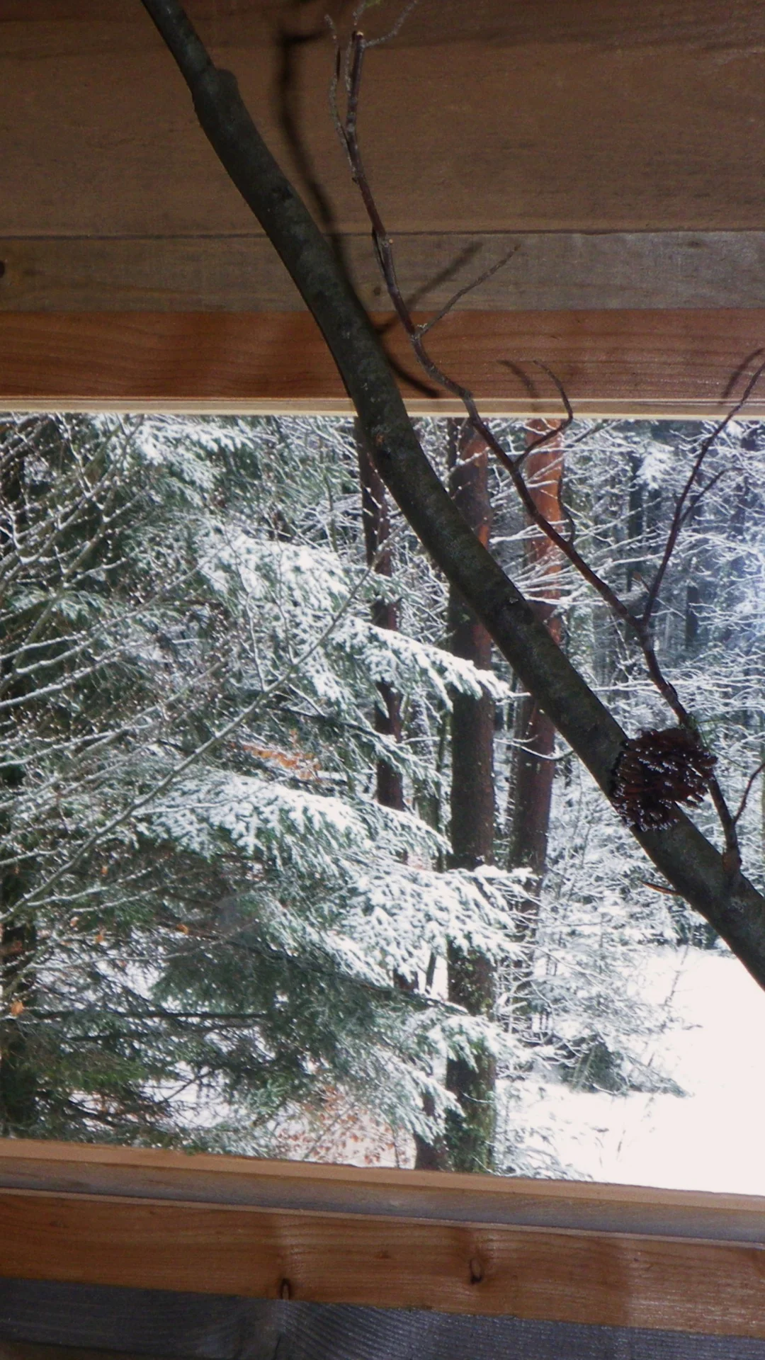 La Double – Cabane Cosy | Cabanes Nids des Vosges