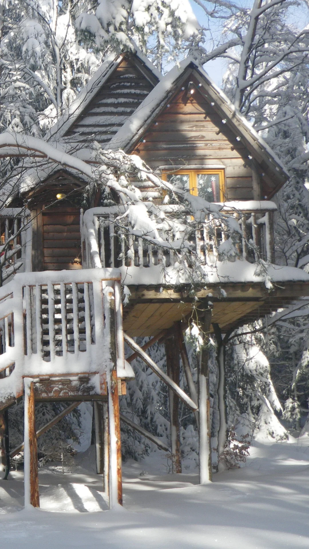 La Double – Cabane Cosy | Cabanes Nids des Vosges