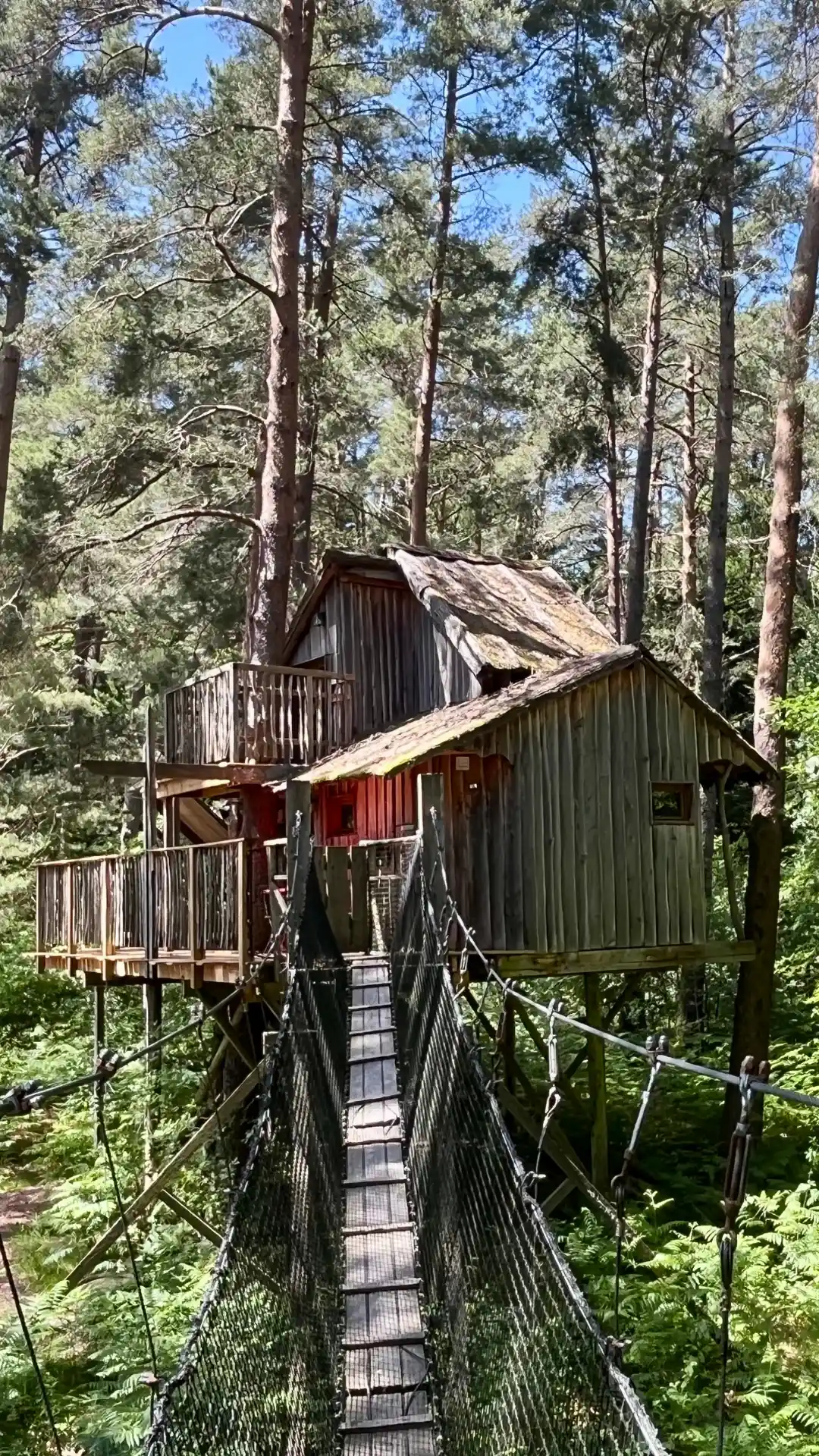 Baumhaus La Fun mit Hängebrücke in den Vogesen – Cabanes Nids des Vosges