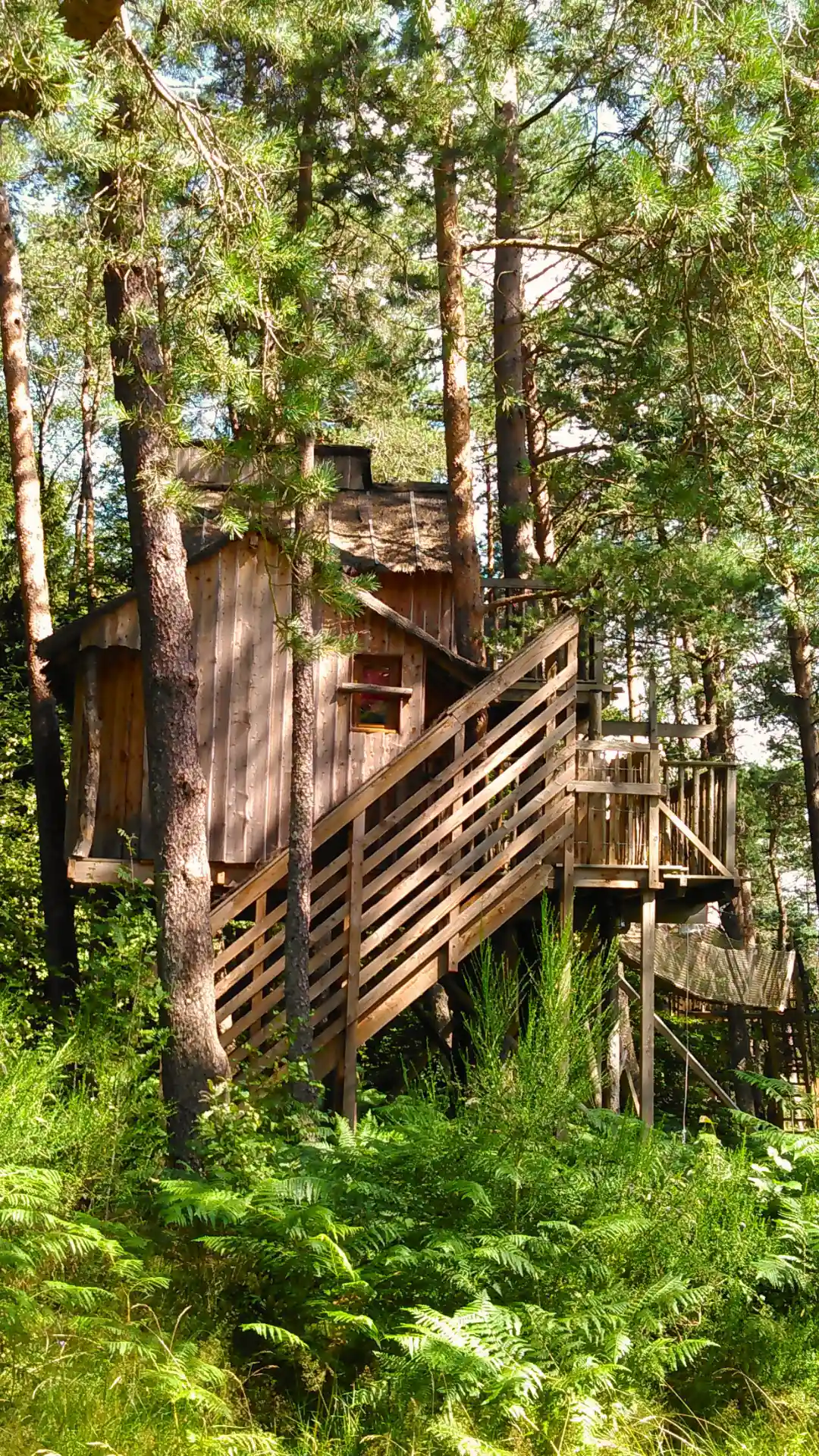 La Fun – Cabane Cosy | Cabanes Nids des Vosges