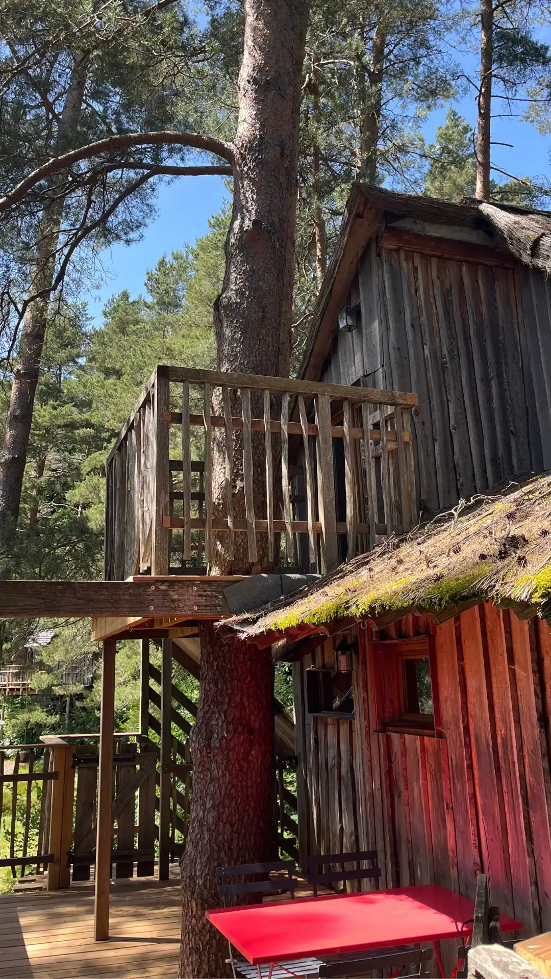 La Fun – Cabane Cosy | Cabanes Nids des Vosges
