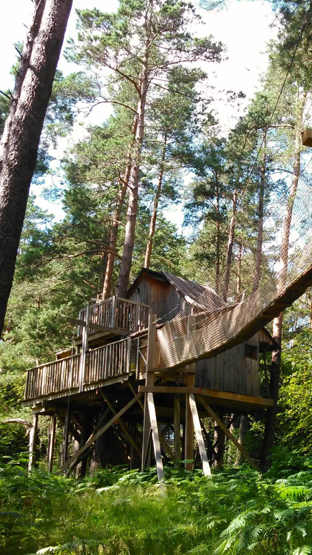 La Fun – Cabane Cosy | Cabanes Nids des Vosges