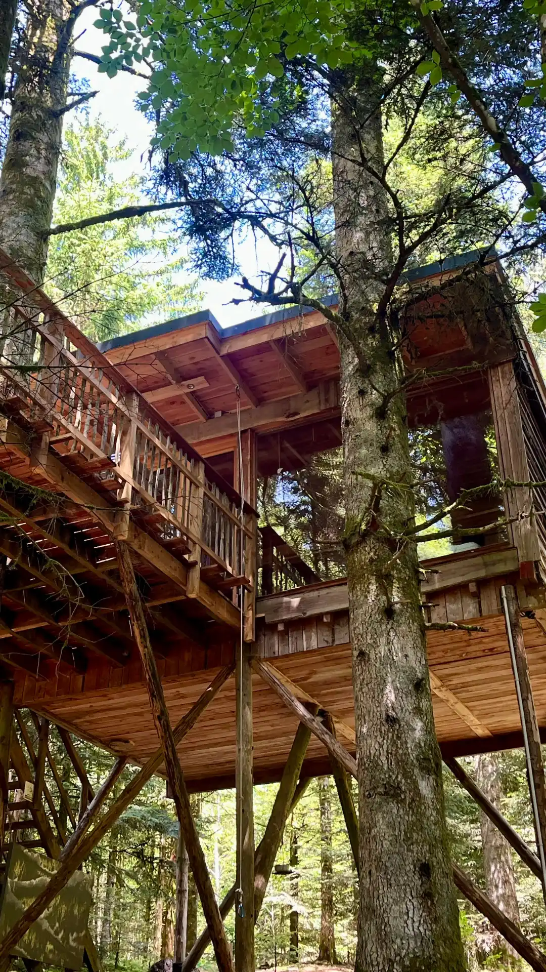 Baumhaus La Vision mit bodentiefem Südfenster im Vogesenwald – Nids des Vosges