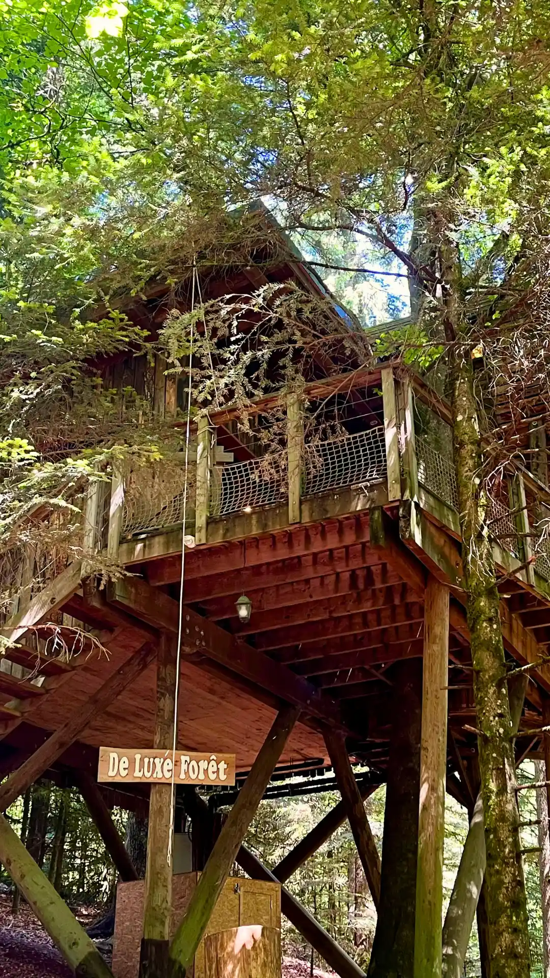 Luxus-Baumhaus La Forêt auf zwei Etagen im Wald der Vogesen – Nids des Vosges