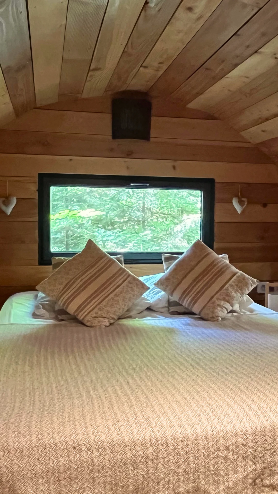 La Forêt – Cabane Deluxe | Cabanes Nids des Vosges