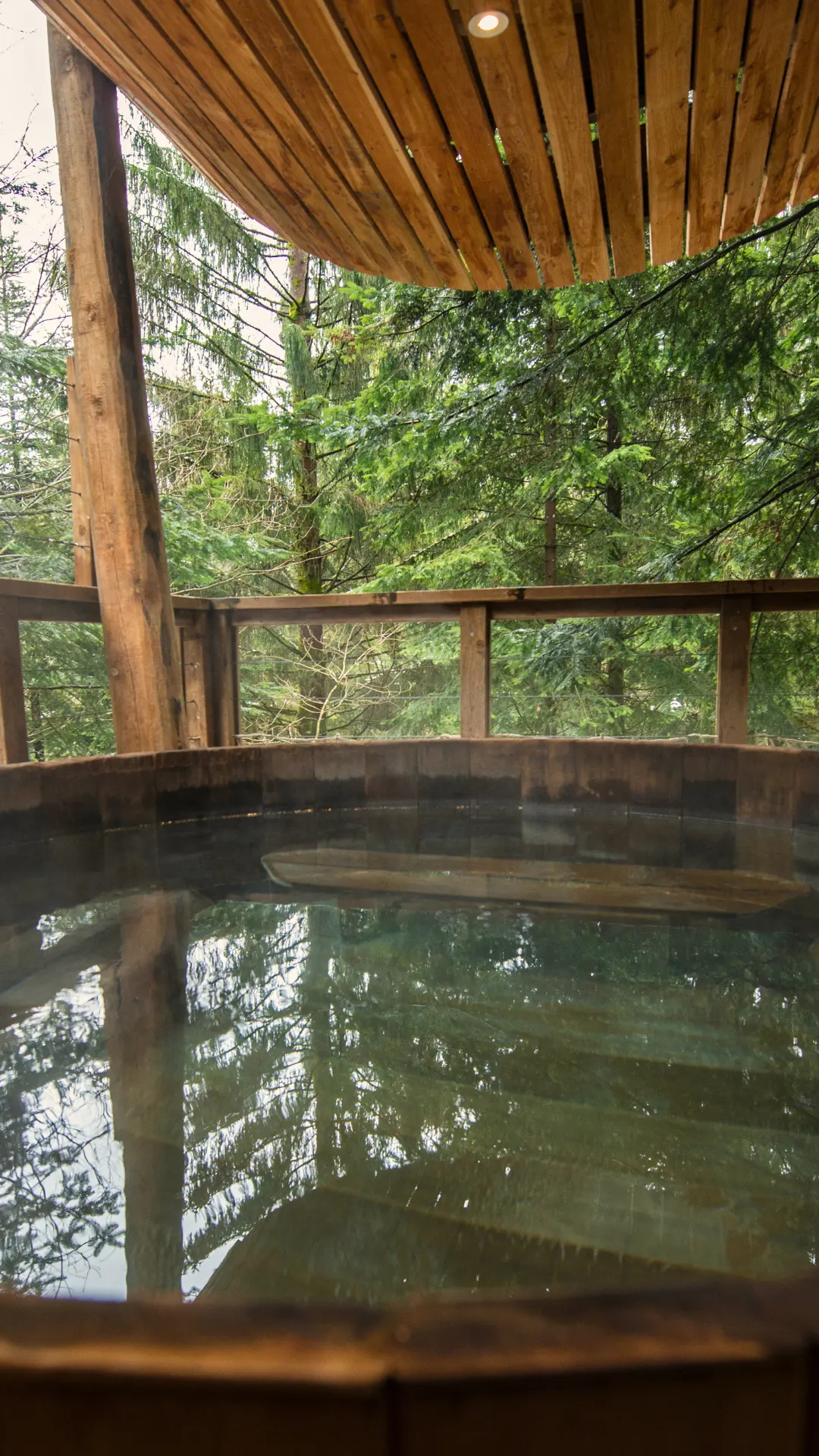 La Forêt – Cabane Deluxe | Cabanes Nids des Vosges