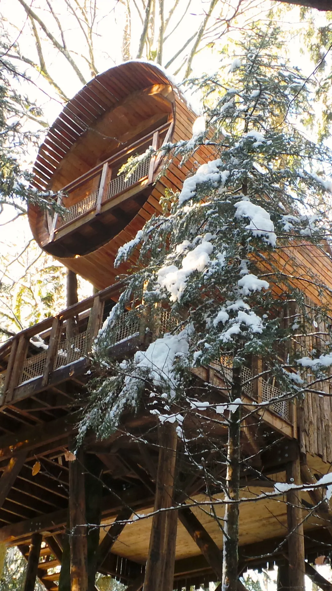 La Forêt – Cabane Deluxe | Cabanes Nids des Vosges