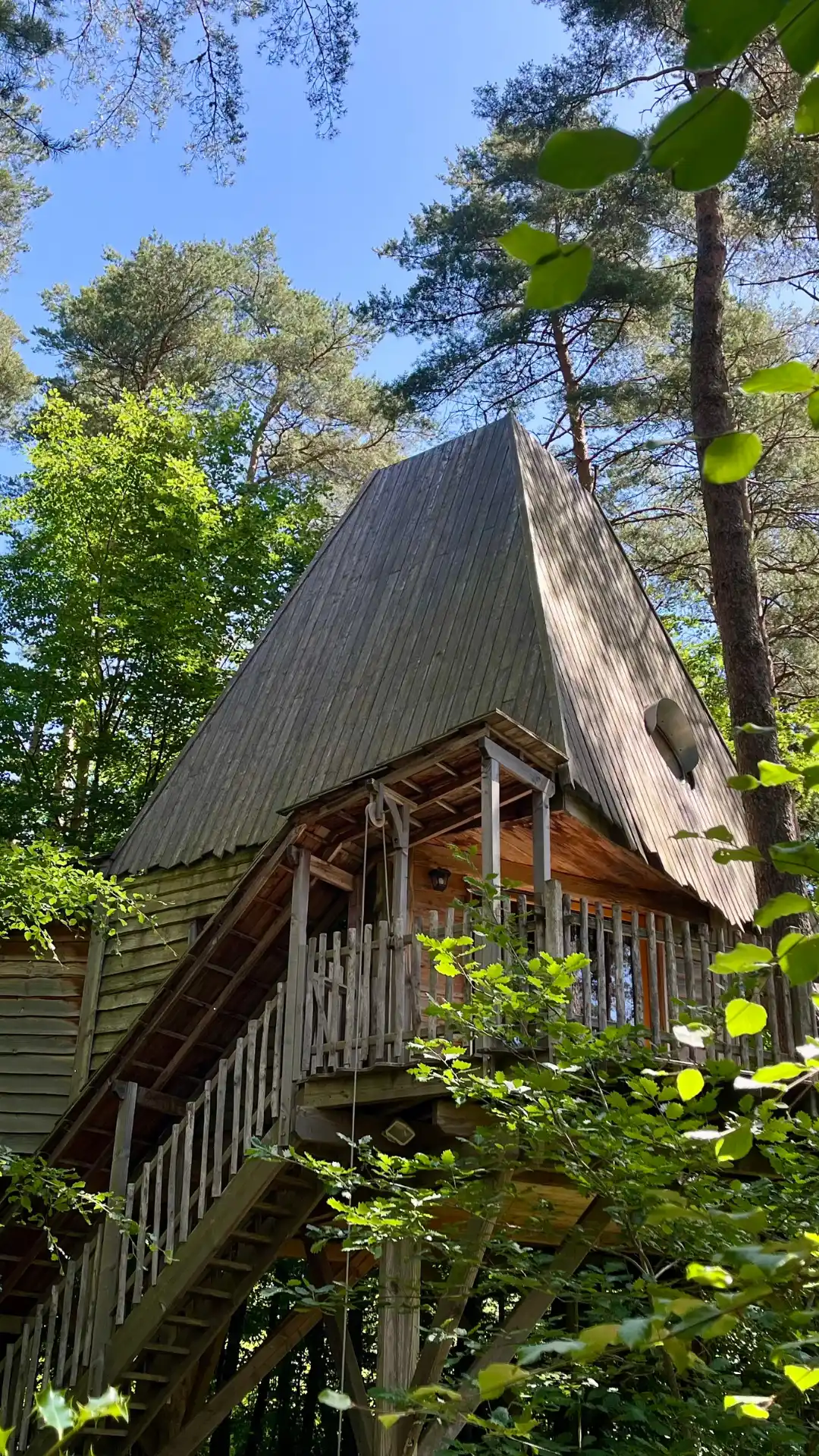Luxus-Baumhaus La Bien-Hêtre mit transparenter Kuppel unter dem Sternenhimmel – Nids des Vosges