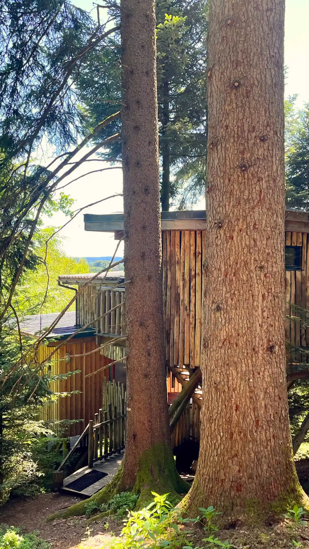Les 2 Sapins – Cabane Deluxe | Cabanes Nids des Vosges