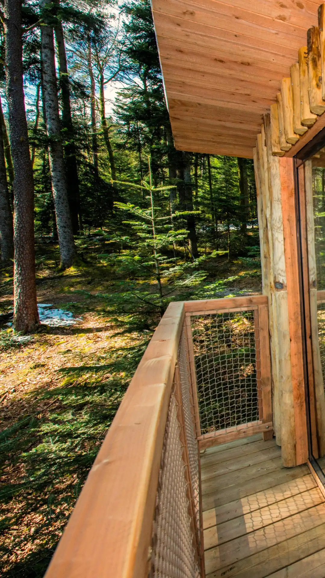 Les 2 Sapins – Cabane Deluxe | Cabanes Nids des Vosges