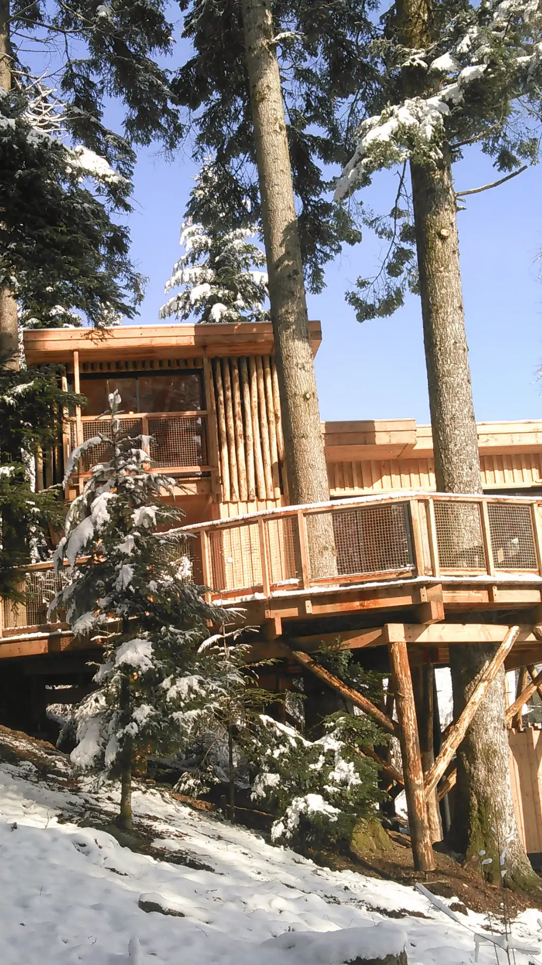 Les 2 Sapins – Cabane Deluxe | Cabanes Nids des Vosges