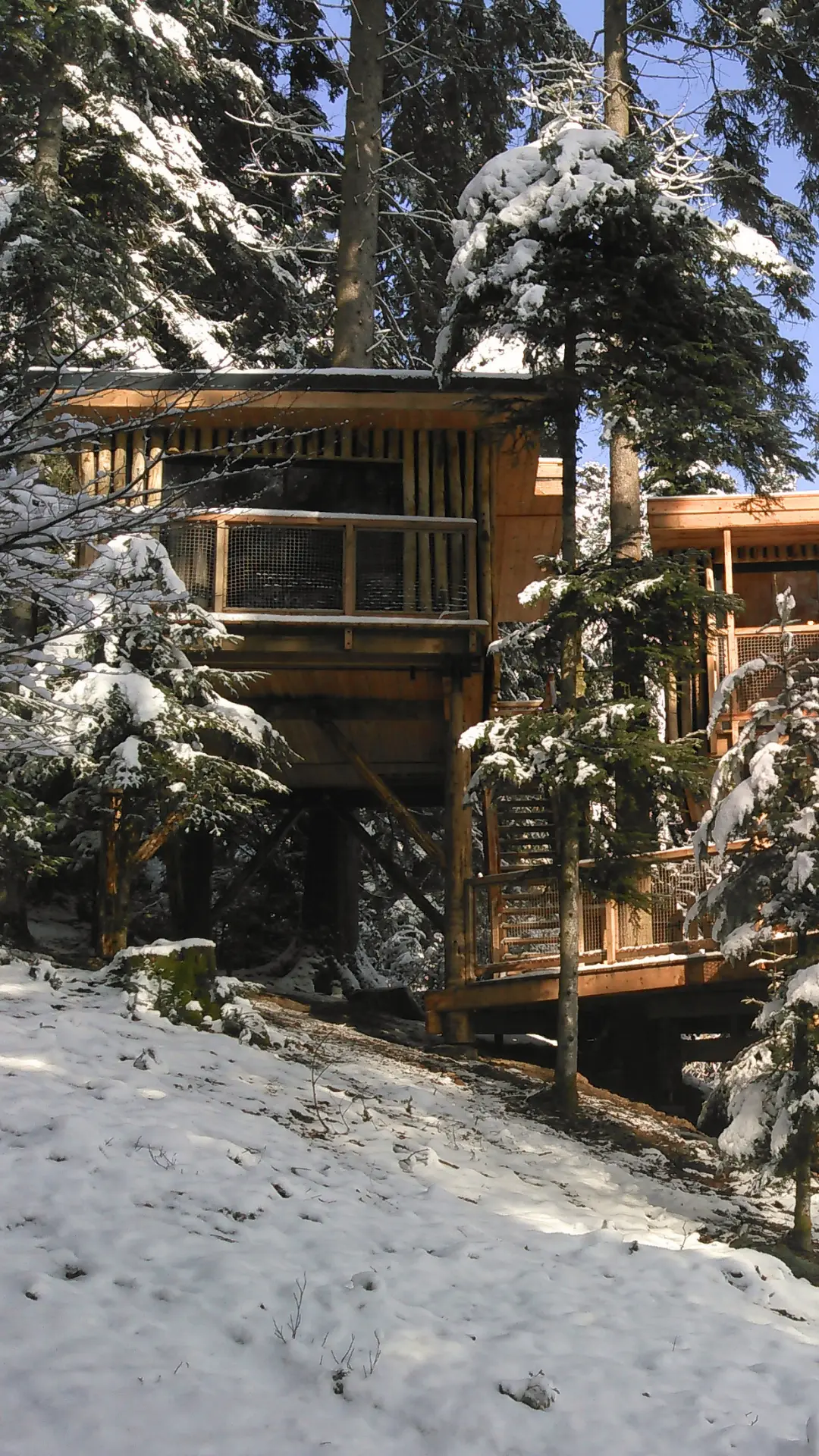 Cabane sous la neige sdans les Vosges