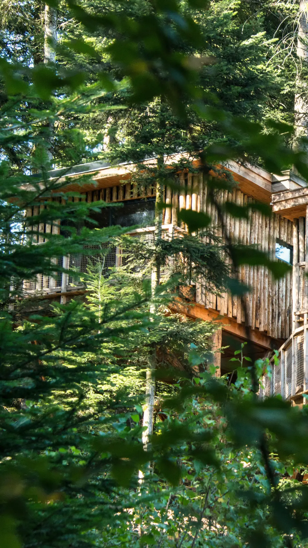 Les 2 Sapins – Cabane Deluxe | Cabanes Nids des Vosges