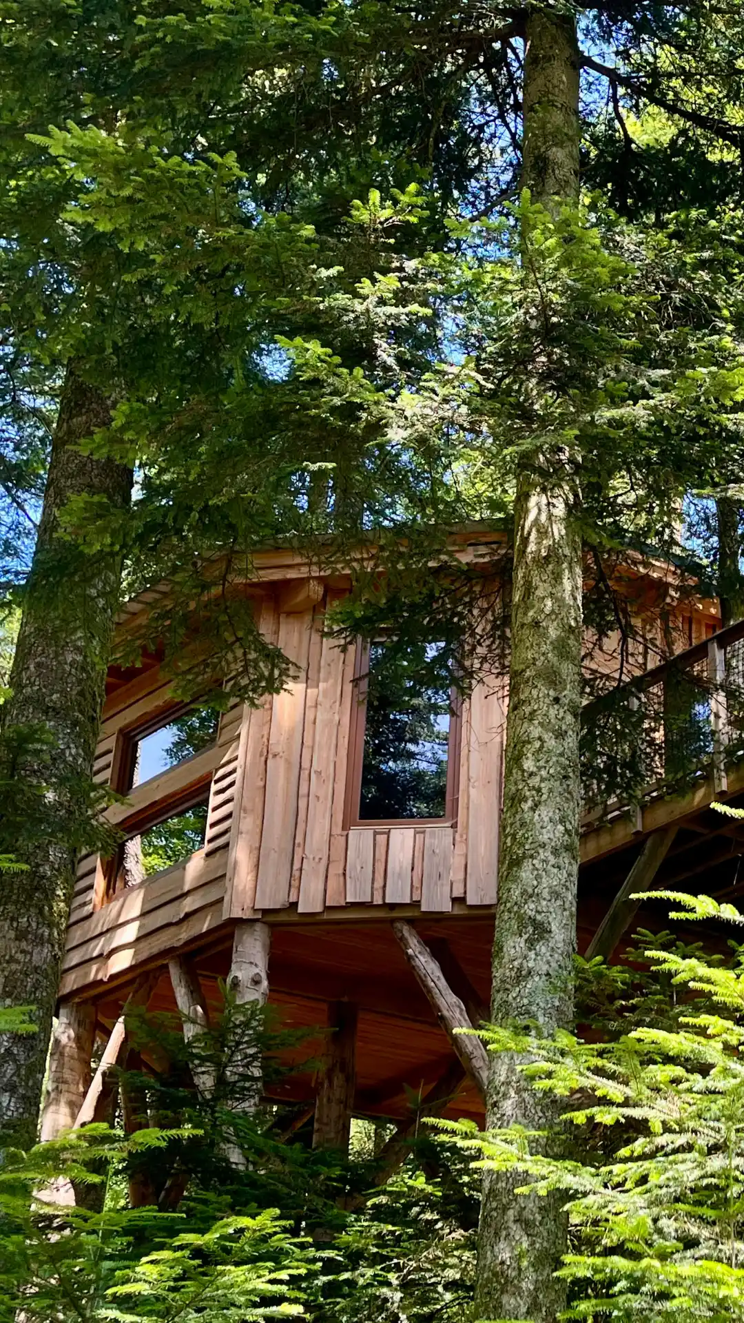 Cabane Cosy L'Échappée Belle isolée dans la forêt vosgienne – Cabanes Nids des Vosges