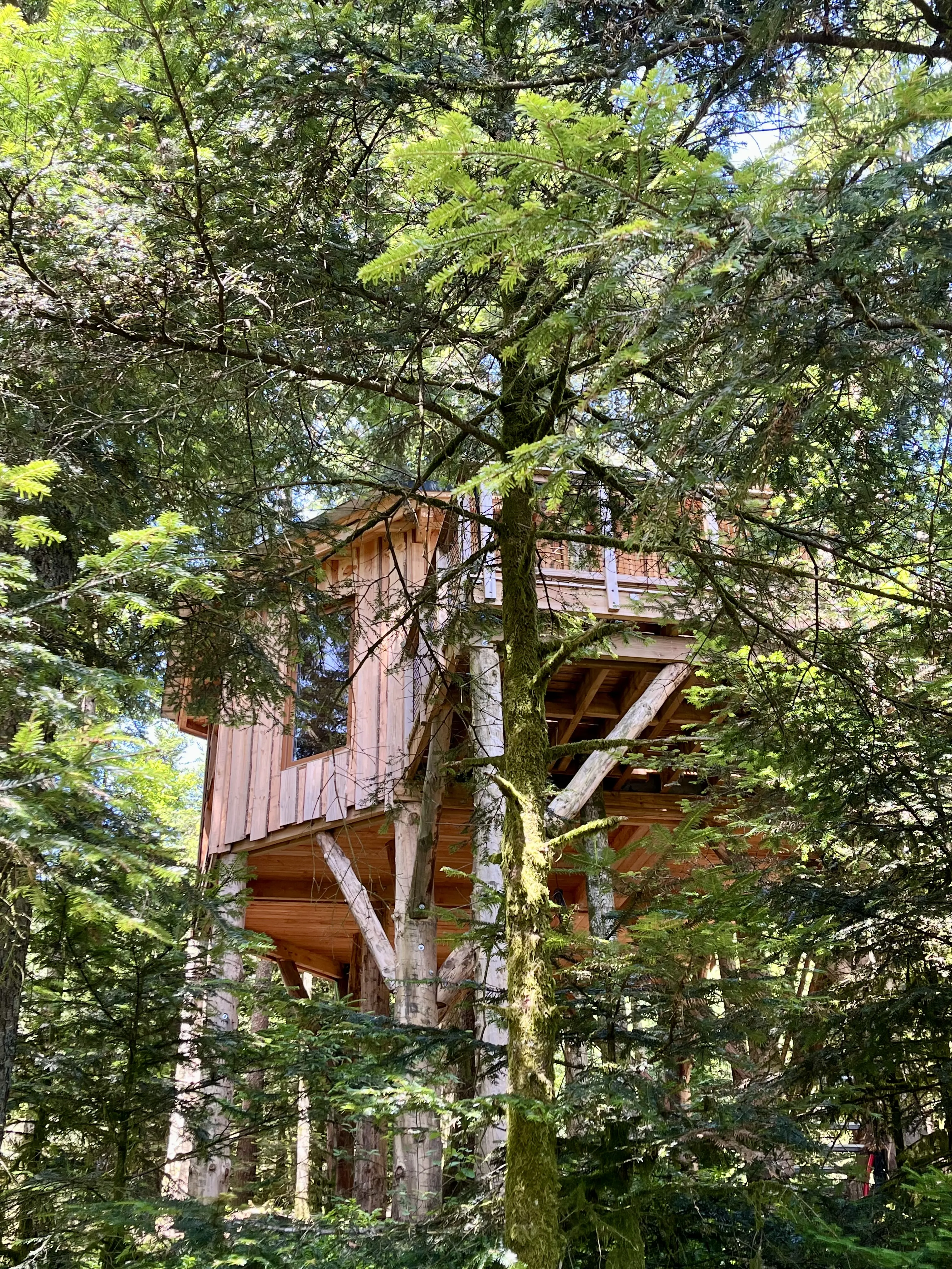 L'Échappée Belle – Cabane Cosy | Cabanes Nids des Vosges