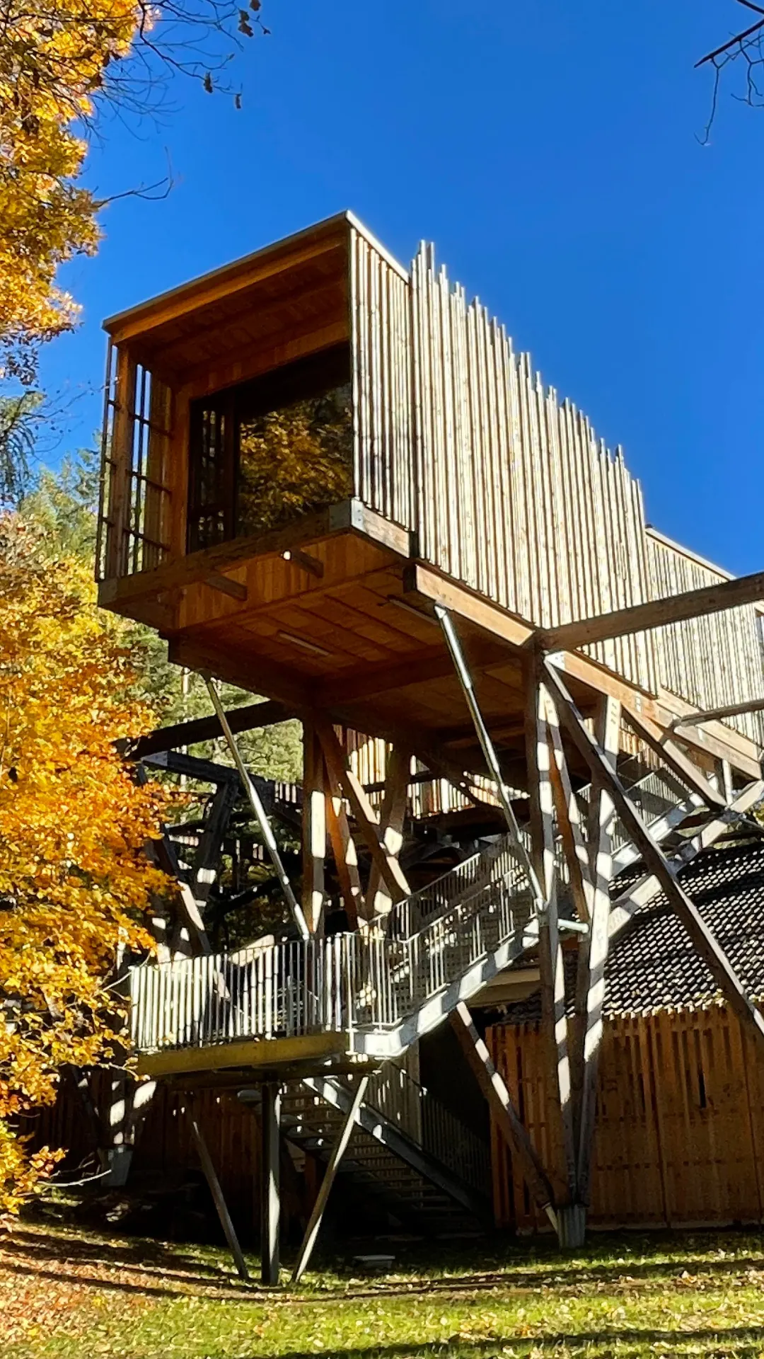 Forêt 2 & Spa – Cabane Deluxe | Cabanes Nids des Vosges