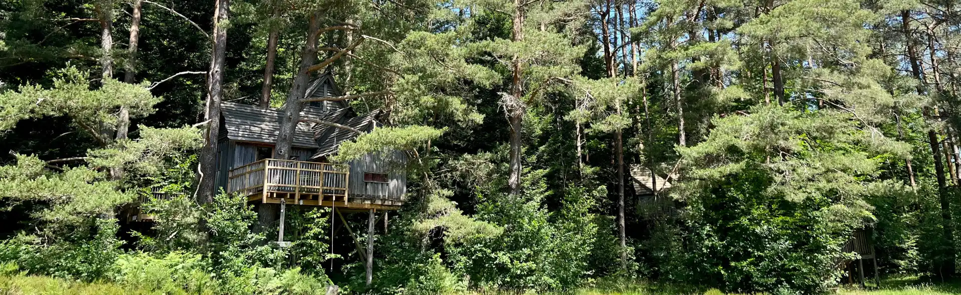 Cabane perchée dans les arbres près de Gerardmer