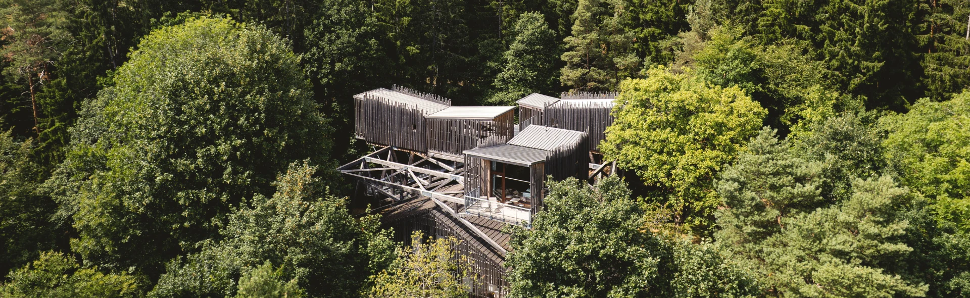 Villa Forêt & Spa : 3 cabanes et une maison, privatisable pour les événements et groupes