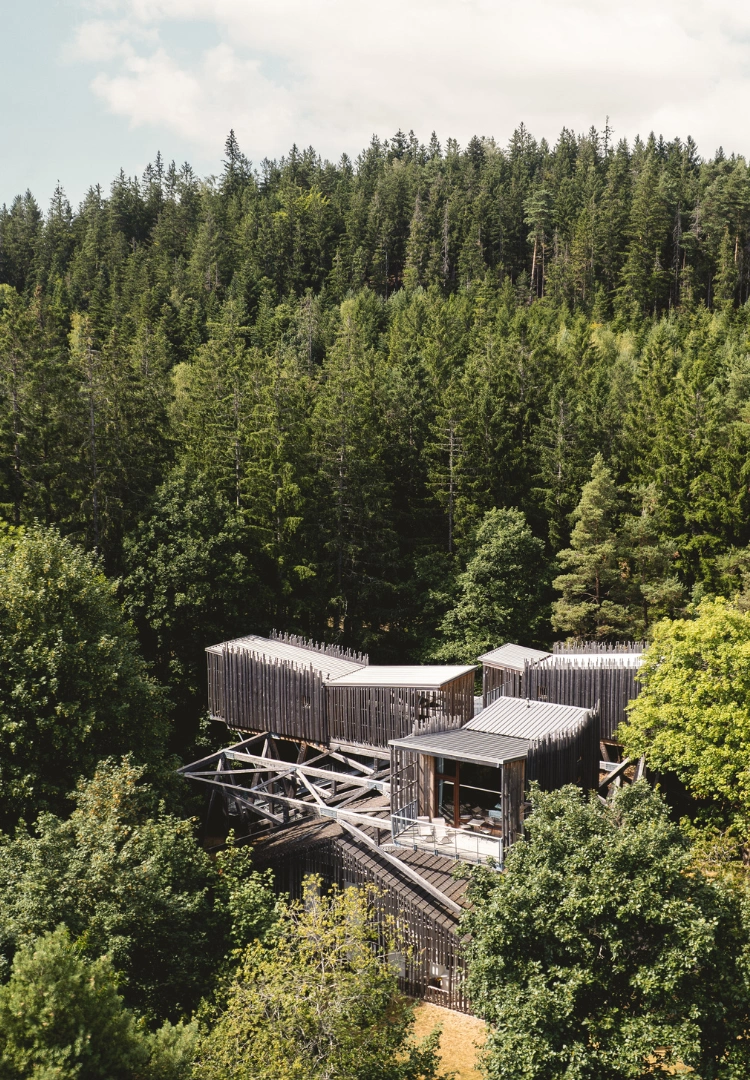 Villa Forêt & Spa : 3 cabanes et une maison, privatisable pour les événements et groupes