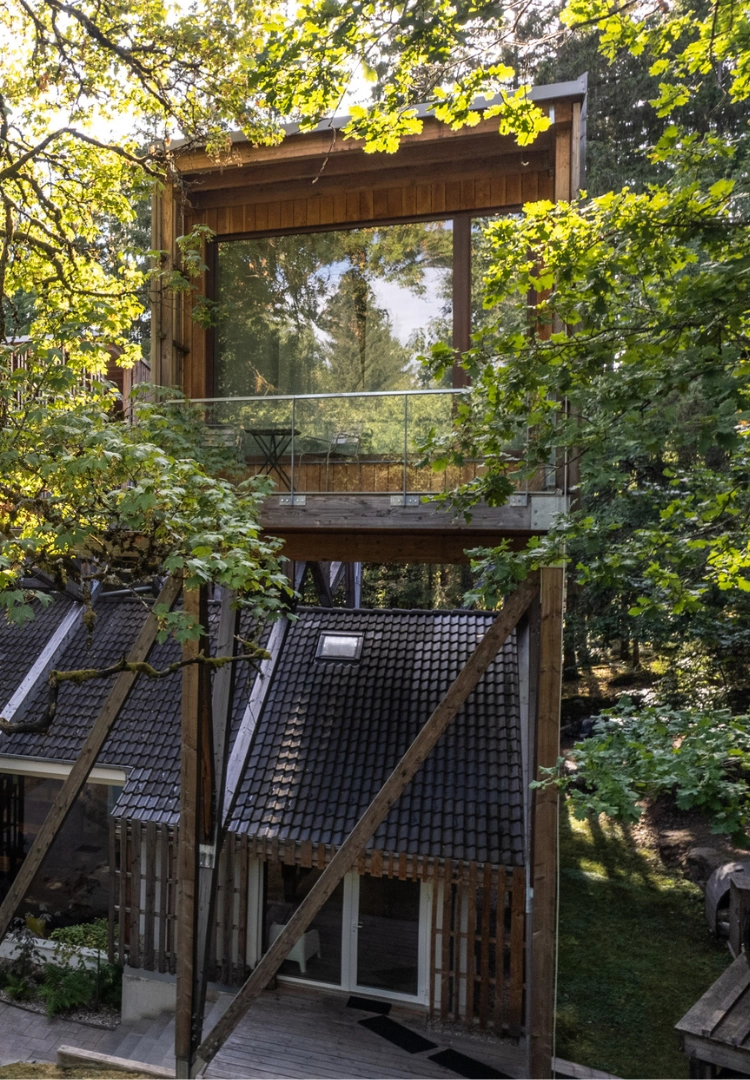 Cabane Forêt 2 perchée dans un érable centenaire – Villa Forêt & Spa Nids des Vosges