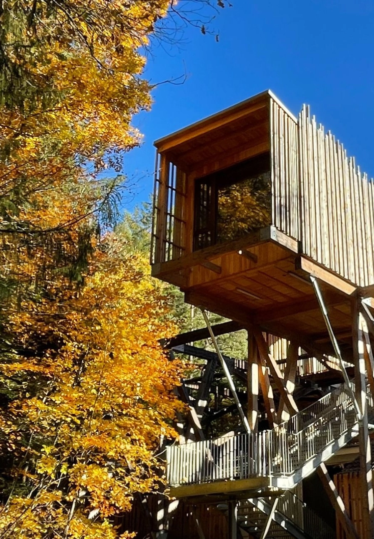 Waldhütte 3 mit XXL-Panoramablick auf den Vogesenwald – Nids des Vosges
