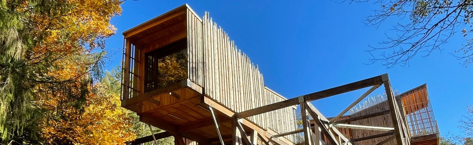 Waldhütte 3 mit XXL-Panoramablick auf den Vogesenwald – Nids des Vosges