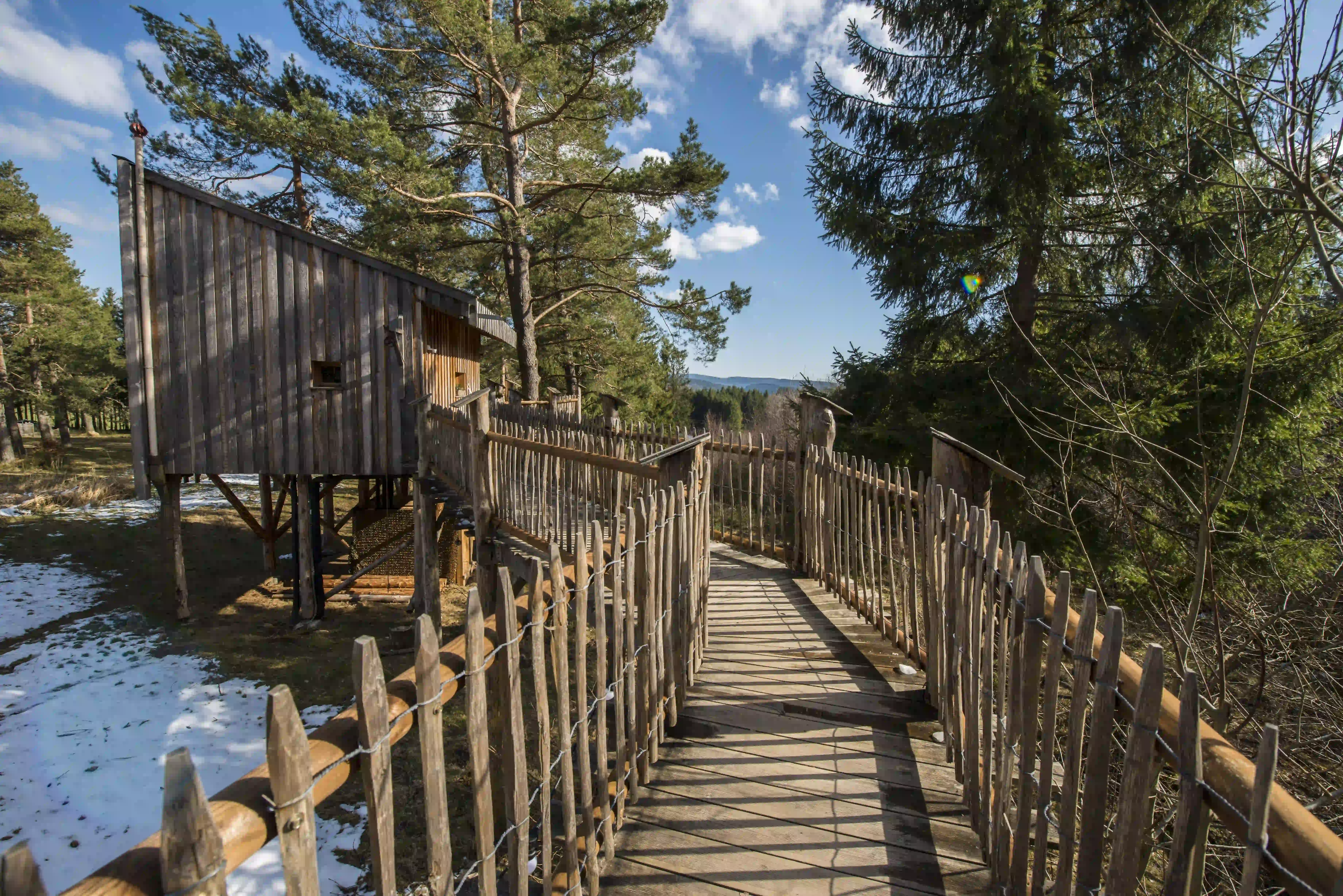 Cabane l'Avancée Nature