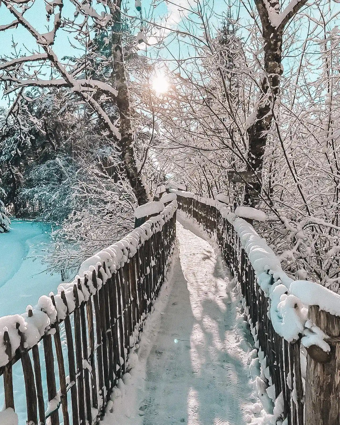 Cabane l'Avancée Nature sous la neige
