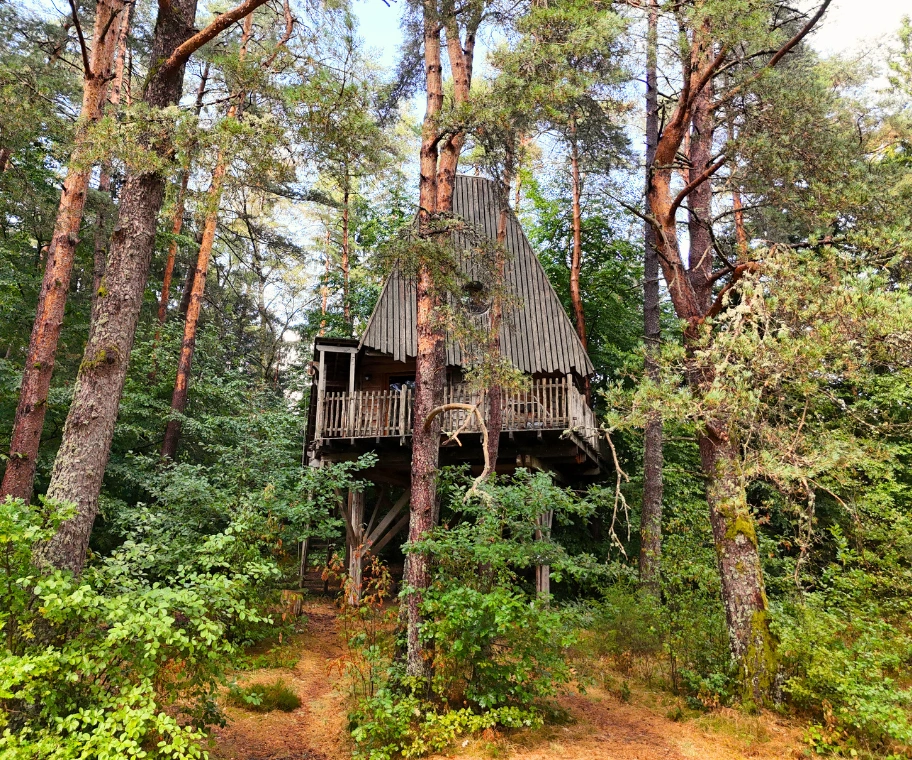 Sauna privatif panoramique de la cabane La Bien-Hêtre dans la forêt vosgienne