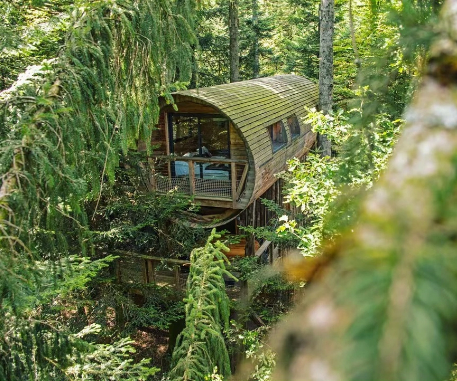 Grande cabane pour 7 personnes dans la forêt vosgienne – Cabanes Nids des Vosges