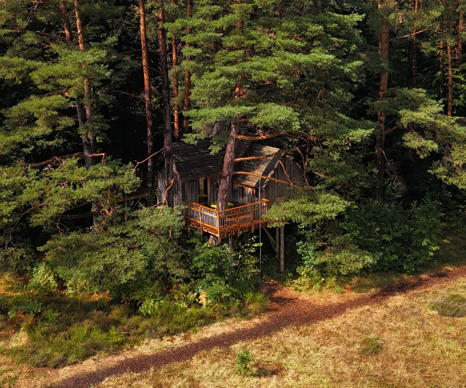 Terrasse panoramique de la cabane La Tour à 5 mètres de hauteur dans les Vosges