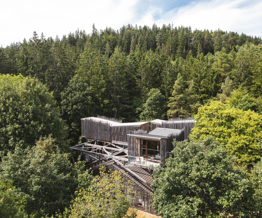 Villa Forêt & Spa privatisable pour groupes dans la forêt vosgienne – Nids des Vosges