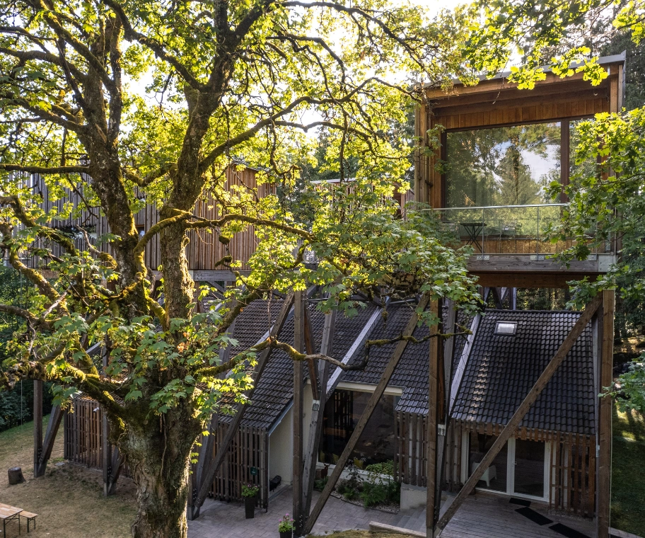 Espace spa privatif Villa Forêt avec hammam et bain nordique – Cabanes Nids des Vosges