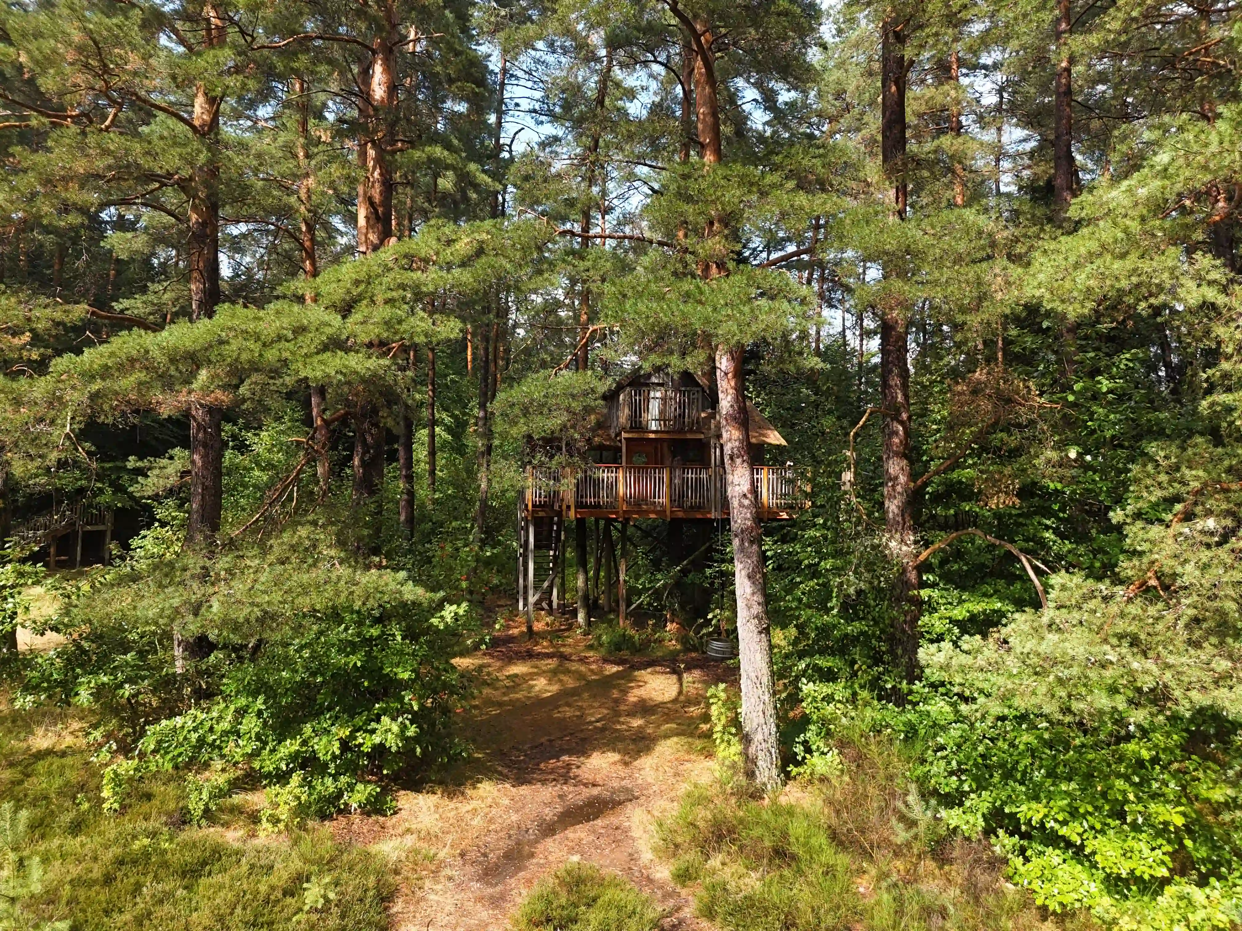 Cabane La Fun avec pont suspendu dans les pins vosgiens – Cabanes Nids des Vosges