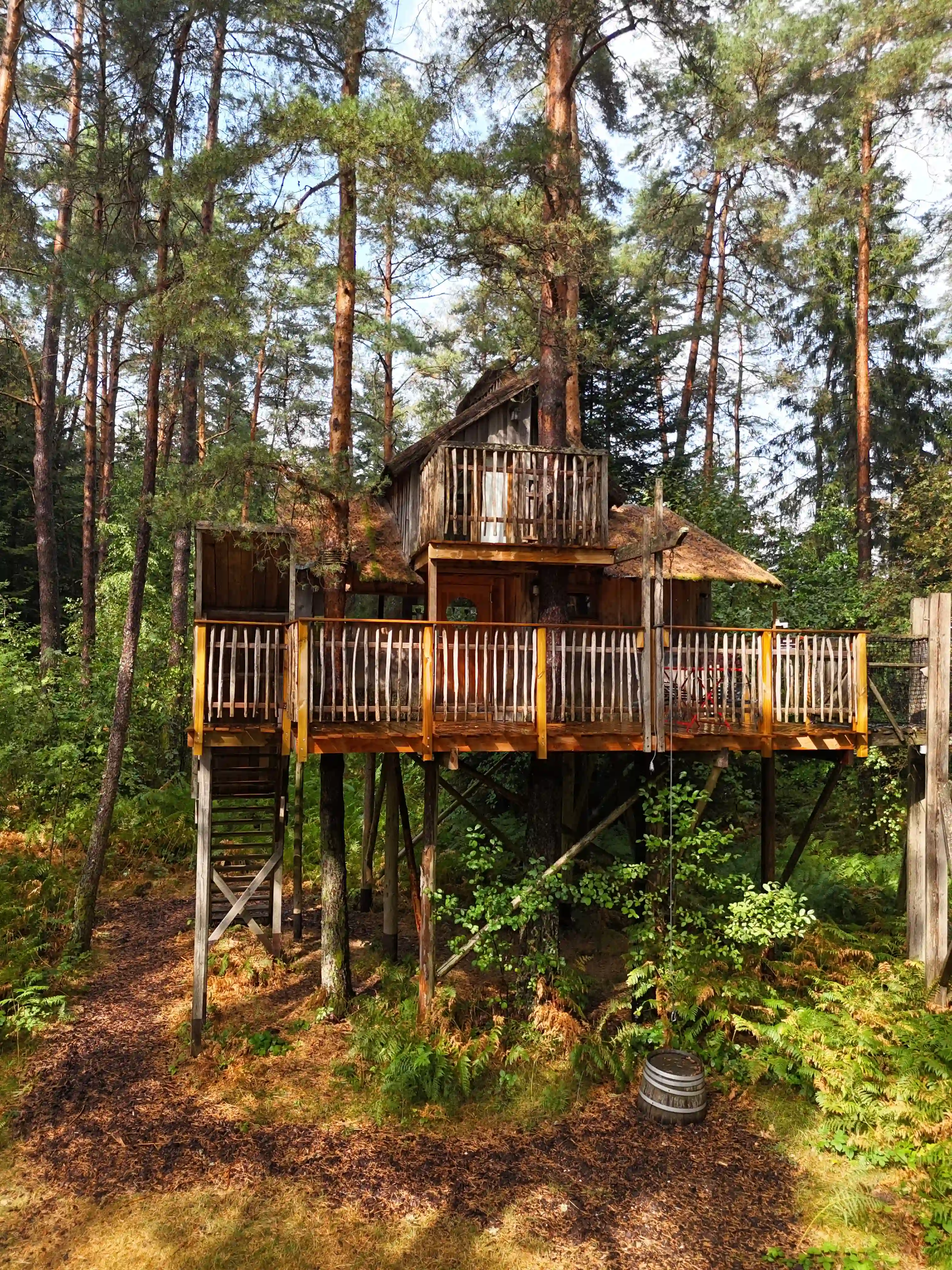 Vue sur la canopée depuis une cabane perchée dans les Vosges | Coucoo Cabanes