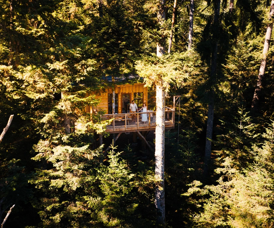 Terrasse calme et nature de la cabane L'Échappée Belle à Champdray dans les Vosges