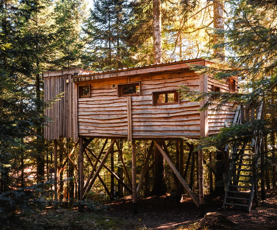Sapins vosgiens traversant la terrasse de la cabane La Vision - Cabanes Nids des Vosges