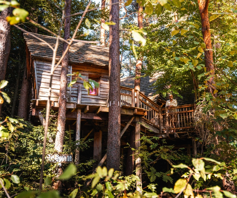 Deux cabanes indépendantes dans la forêt vosgienne – La Double pour familles et amis